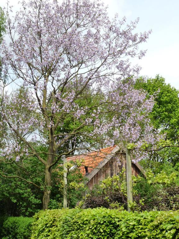 Вилла Gasthuys Hongerdyck Bruchterveld Экстерьер фото
